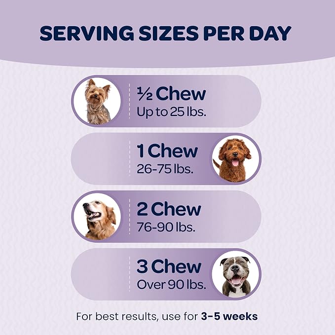 Ready Pet Go! Omega 3 + Calming Chews for Dogs | Helps with Dog Anxiety, Separation & Barking | Fish Oil for Dog Shedding, Skin Allergy, Itch Relief | 90 Chews Each