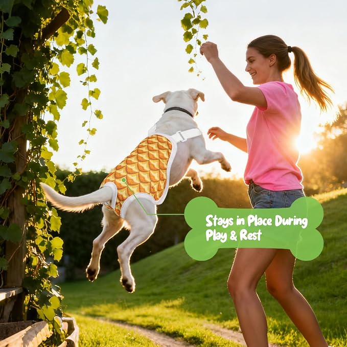 3 Pack Washable Female Dog Diapers with Adjustable Suspender, Reusable Sanitary Panties for Dogs in Heat, Leak-Proof Design for Small Dogs