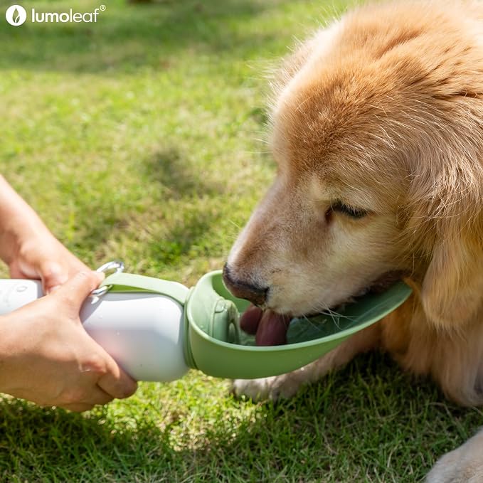 LumoLeaf Insulated Dog Water Bottle 27 oz Stainless Steel - Keep Water Cool or Warm, Portable Pet Water Bowl for Travel, Wide Mouth for Easy Ice Filling & Cleaning (Green, 27 oz)