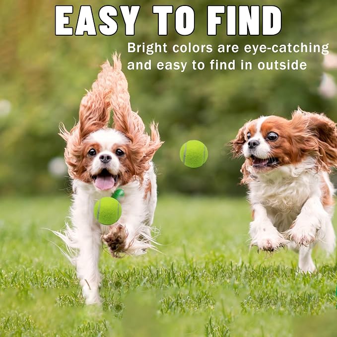 Magicorange Small Tennis Balls, 20 Pack 2 inch Tennis Balls for Dogs, Colorful Easy Catching Pet Dog Playing Ball with Mesh Bag for Easy Transport (Yellow,20 Pack)