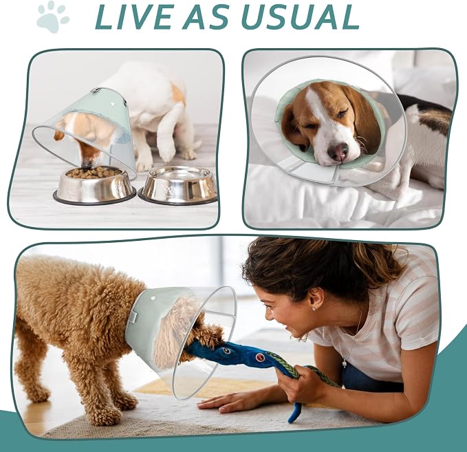 Dog Cone Collar with Snap-on Detachable Soft Liner, Lightweight Transparent Elizabethan Alternative to Stop Licking, for Spay Neuter Surgery Recovery, for Medium Large Small Dogs (Green,XS)