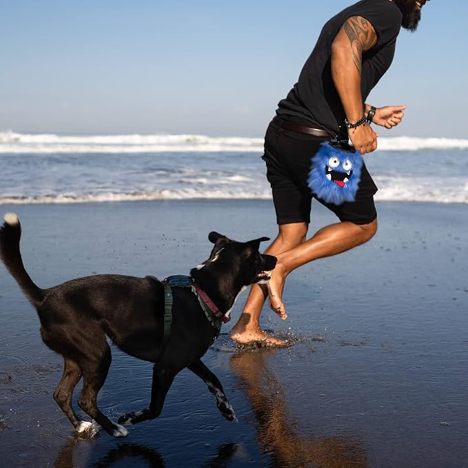 Tequila&Bones Dog Treat Bag Training Pouch, Hands-Free Dog Treat Pouch, Dog Walking Pouch, Waist Bag | Washable Inner Bag | with Belt, Clip & Drawstring Closure (Chewy)