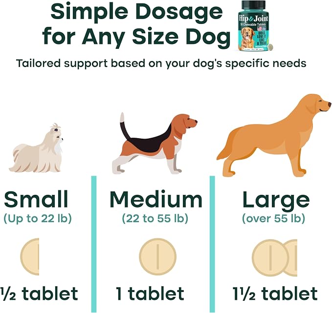Hip & Joint Supplement for Dogs, 300mg Green-Lipped Mussel for Dog Arthritis Pain Relief, Glucosamine, MSM & Chondroitin, Zero Sugar, Large Medium Small Breeds, 200 Chewable Tablets