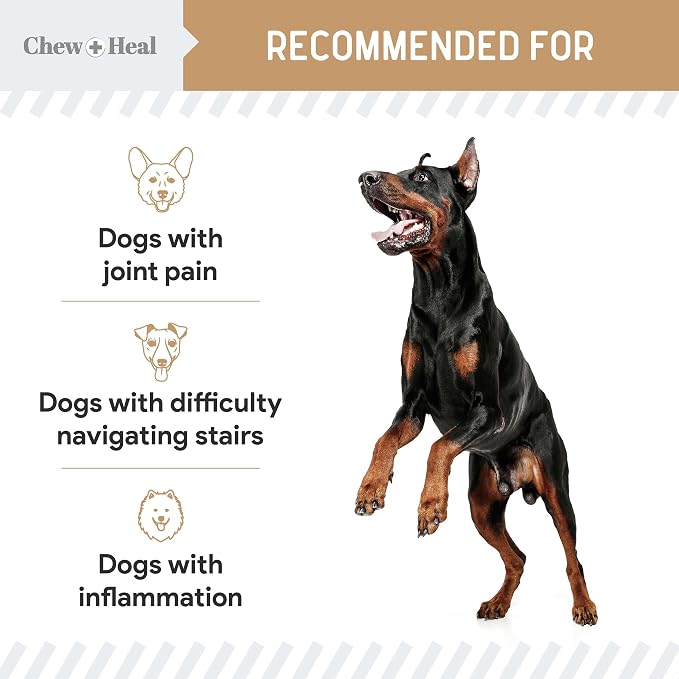 Dog Glucosamine Chews, 90 Count - Hip and Joint Supplement for Dogs - MSM, Chondroitin for Joint and Cartilage Health - Puppies and Seniors, Small and Large Breeds, Peanut Butter Flavor