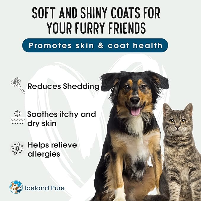 Iceland Pure Salmon Oil | Unscented Pharmaceutical Grade | 1118mg of Omega-3 per teaspoon | Liquid Food Supplement For Dogs and Cats | BPA-Free Brushed Aluminum Epoxy coated Bottle with Pump 33oz