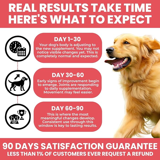 Hip & Joint Supplement for Dogs - Glucosamine Chondroitin MSM & Green Lipped Mussel Soft Chews - Dog Joint Pain & Mobility Support for Senior & Large Breed Dogs, Duck Flavor, 60 Count