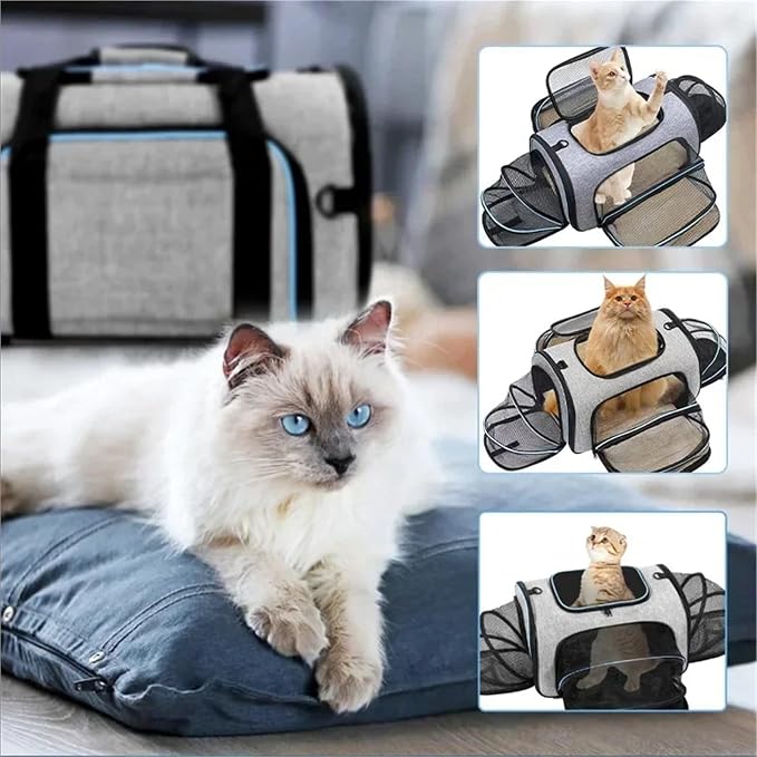 Portable Foldable Expandable Cat Backpack Carrier, Airline Approved Breathable Pet Travel Bag for Dog Accessories(Green 2 Sides)