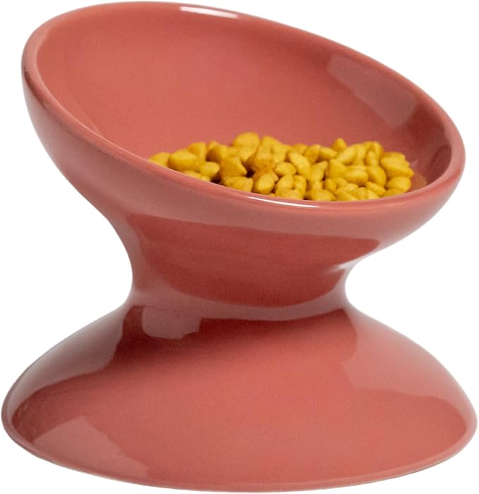 RAWRY Raised Ceramic Cat Bowl, Elevated Tilted Cat Bowl, Wide Shallow Cat Dish, Whisker Fatigue Cat Bowl, Dishwasher & Microwave Safe for Wet or Dry Food, Cats & Small Dogs, 12 oz (Plum)