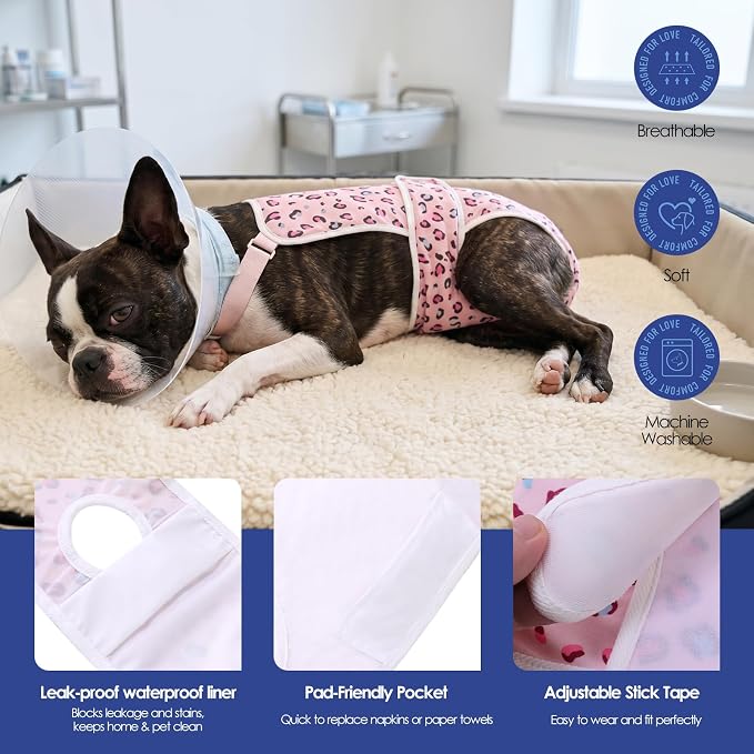 ASENKU 2 Pack Female Dog Diapers with Suspenders, Reusable Washable Puppy Panties for Small Dogs, Leak-Proof Pet Underwear for Heat Cycle & Period