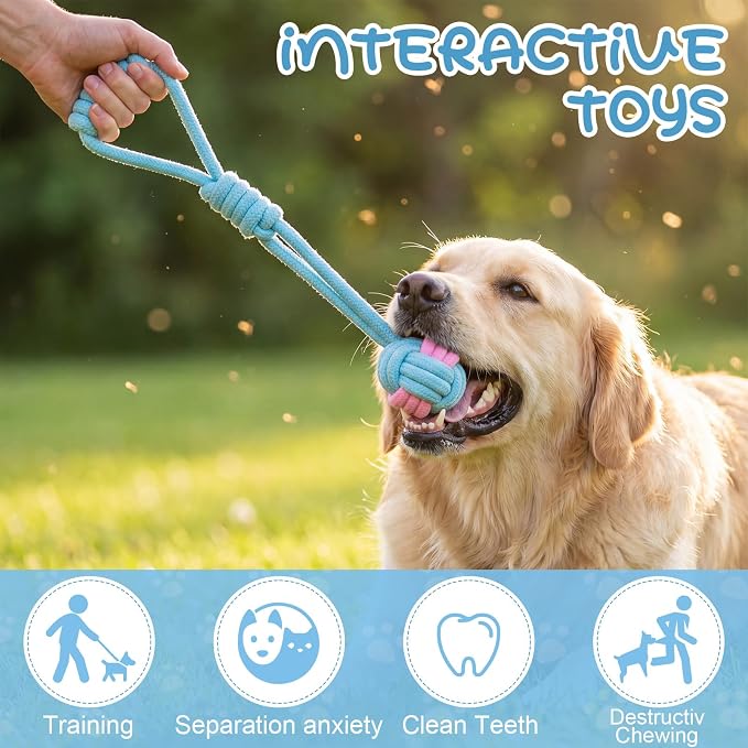 Leitee 14 Pcs Puppy Toys for Teething Dog Chew Toys for Small Dogs Soft Interactive Squeaky Plush Balls Doggy Teeth Tug of War and Rope for Small Dogs Puppy (Classic,Blue)