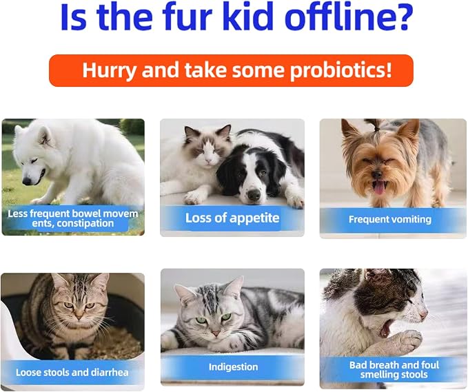 Probiotics for Dogs, Support Gut Health, Occasional Diarrhea, Digestive Health & Seasonal Allergies, Pork Flavor, 60 Soft Chews (Value 2‑Pack)