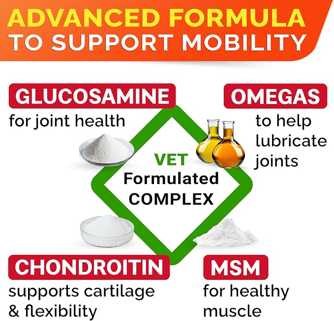 Senior Advanced Glucosamine Chondroitin Joint Supplement for Dogs - Hip & Joint Pain Relief Pills - Large & Small Breed - Hip Joint Chews Canine Joint Health - Chews Older Dogs - Chicken Flavor-120Ct