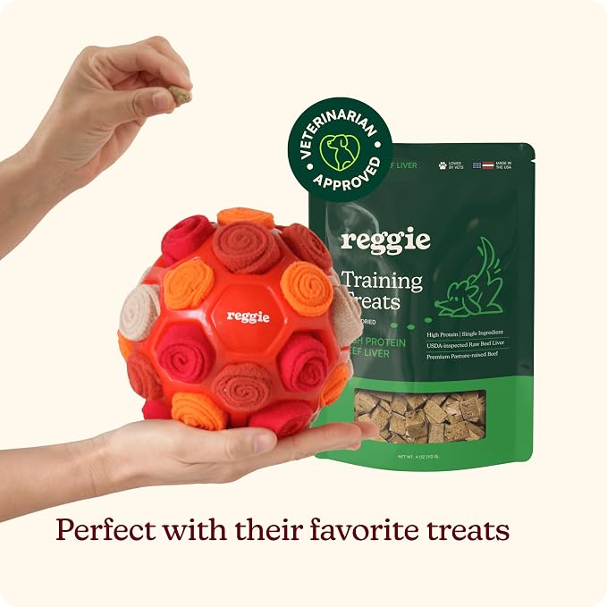 Reggie Snuffle Ball for Dogs | Interactive Treat Dispensing Dog Enrichment Toys | Reduces Boredom, Stress & Hyperactivity | Snuffle Toys for Dogs | Durable & Washable Dog Puzzle Toy I Red