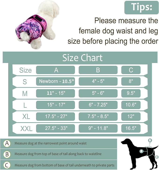 Female Dog Diapers - Premium Reusable Diapers for Doggie in Heat - Highly Absorbent for Pet Incontinence with Adjustable Snaps Butterfly, XL