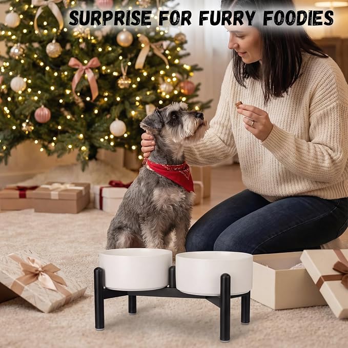 Raised Ceramic Dog Bowl Set - Elevated Double Dishes with Stainless Steel Stand - Food and Water Bowls for Small to Medium Dogs - Each Holds 3.5 Cups (29.57 fl oz) - White