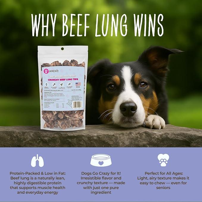 Pawsomely Healthy Beef Lung Dog Treats – 100% Single Ingredient Air-Dried Training Rewards – No Fillers or Additives, Grain-Free – Low Fat & High Protein – Made in USA, 3.5 oz