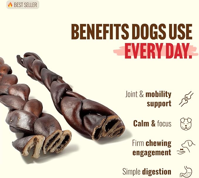 Natural Farm Braided Collagen Chews for Dogs (12 Inch, 6 Pack), Collagen Sticks, Natural Dog Chews, Long Lasting, for Small, Medium and Large Dogs, Odor-Free, Rawhide Alternative