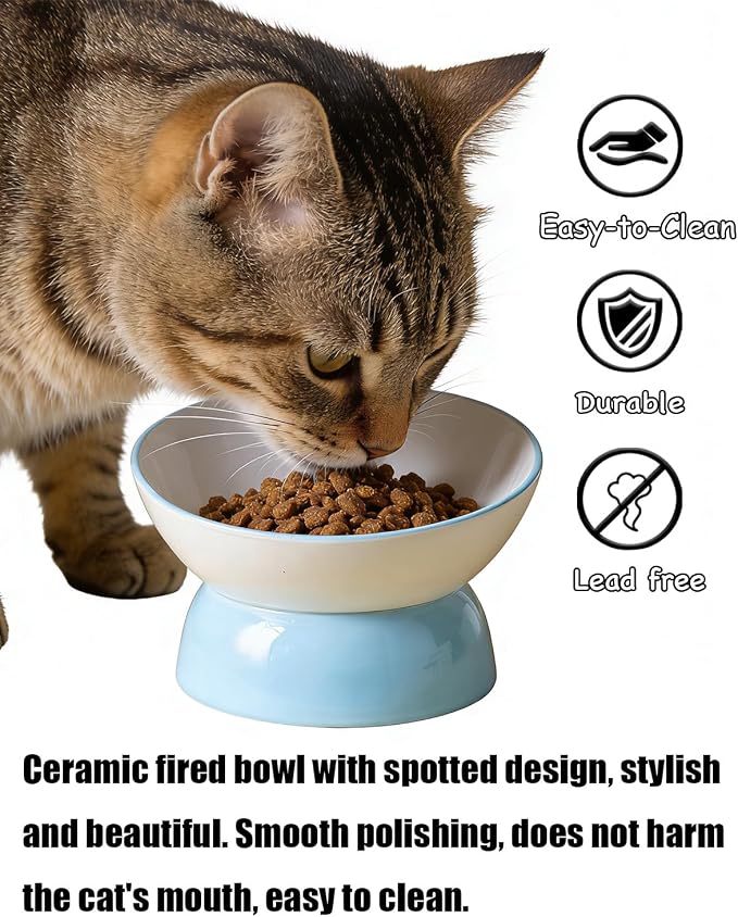 Ceramic Elevated Cats Bowls, 4Pc Extra Wide Raised Cats Bowls, Shallow Whisker Friendly Food & Water Dish, Anti Vomit, Microwave & Dishwasher Safe, 5 oz (Colorful 5.3 x 3.5'')
