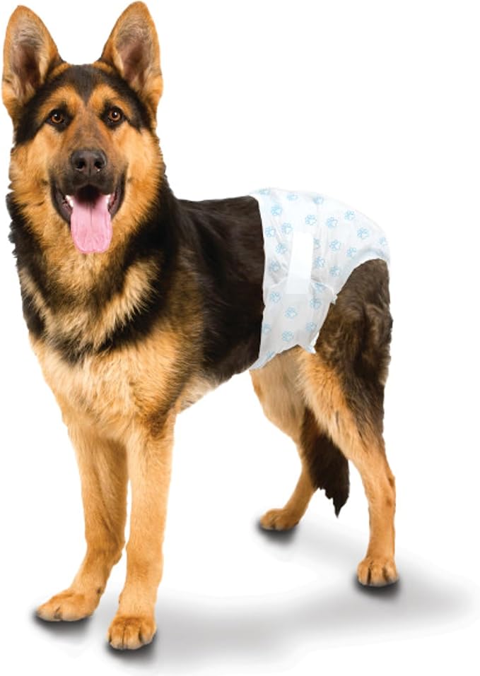 Four Paws Wee-Wee Super Absorbent Disposable Adjustable Dog Potty Training Diapers, Leak-Proof Protection for Dogs, Size Large, Over 19" Waist, 36 Count