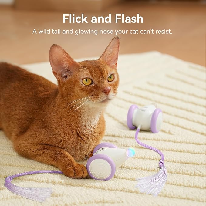 Interactive Cat Toys for Indoor Cats - Automatic Moving Kitten Toys, Wicked Mouse Neo Cat Toy with Tail & Lights, Pet Cat Supplies, Rechargeable Cat Toys for Bored Indoor Adult Cats, Purple