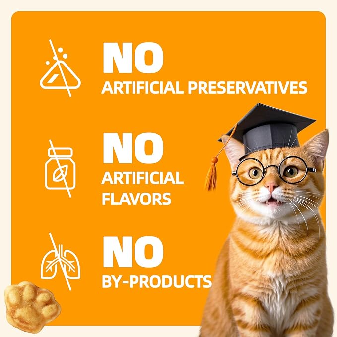 Wellix 13.05oz Healthy Cat Treats Pumpkin Flavor - Chicken Formula Stomach Sensitive Kitten Snacks for Digestive Support - Cat Constipation Relief Low Calorie Food Topper for Cats