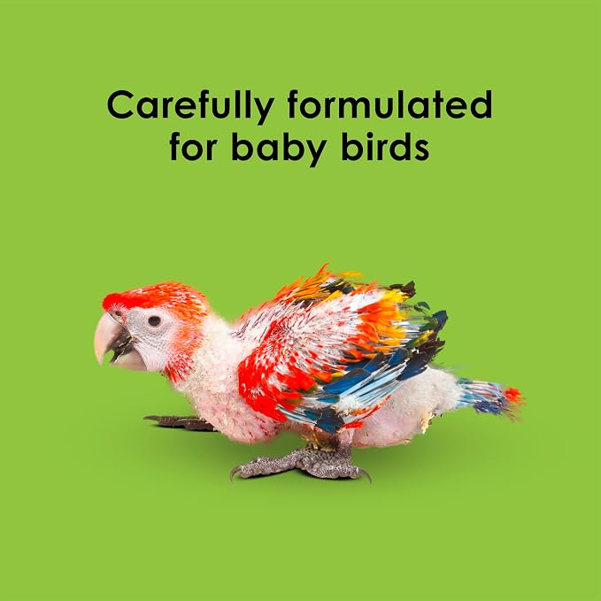 Kaytee Exact Hand Feeding Pet Bird Baby Food For Parrots, Parakeets, Lovebirds, Cockatiels, Conures, Cockatoos, and Macaws, 5 Pound