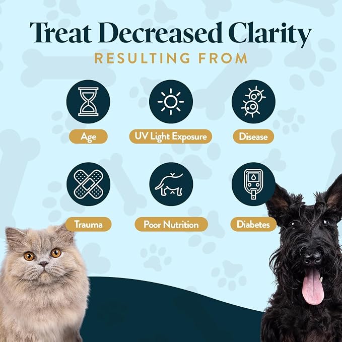 Vision Chews Eye Supplements for Dogs & Cats with Omega 3 Krill, Astaxantin, Choline, Lutein, Glutathione, Cat Vision Supplement & Dog Eye Supplements, Chicken Liver Flavor, 60 Chews, 3.5g Each