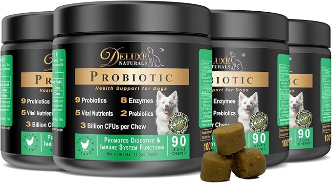 Probiotic Soft Chews for Dogs – 360 Count (4 x 90ct) – Digestive & Immune Support with 9 Probiotics, 8 Enzymes, 2 Prebiotics & 5 Vital Nutrients – Chicken Flavor