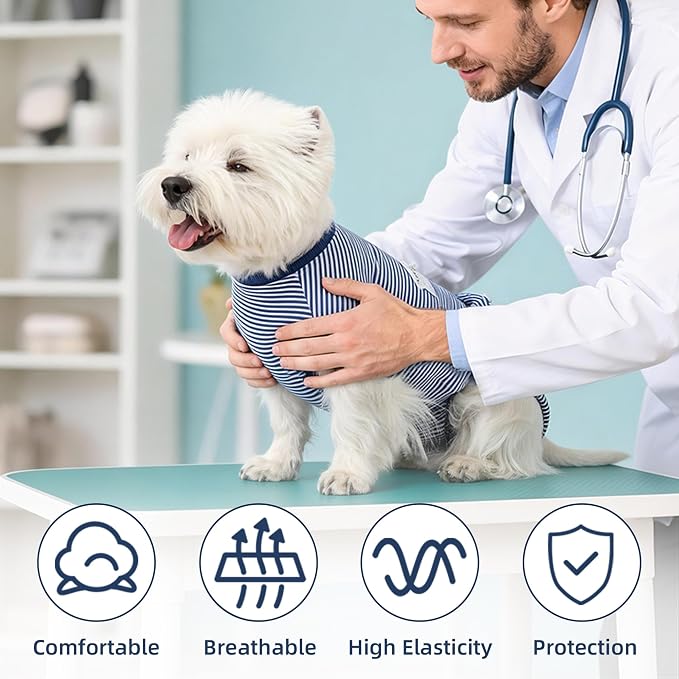 ETIAL Dog Post-Surgery Recovery Suit Breathable Surgical Shirt for Dogs with Adjustable Strap & Drawstring, Cone Alternative, Prevents Licking Wounds, Easy to Put On (Blue, Small)