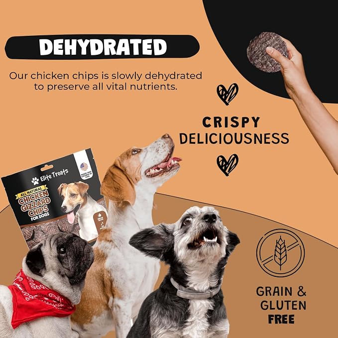 Chicken Gizzard Chips: Dogs All Natural Training Treats | Made in USA | Single Ingredient | Healthy Treats | for Puppies, Small, Medium & Large Breeds (Chicken Gizzard Chips 6 oz)