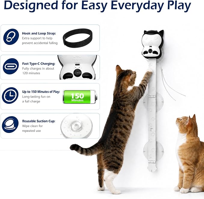 2-in-1 Electric Cat Toy, Automatic Interactive Cat Wand with 2 Play Modes (Track Chase & Bounce), Indoor Exercise Toy for Kittens & Adult Cats