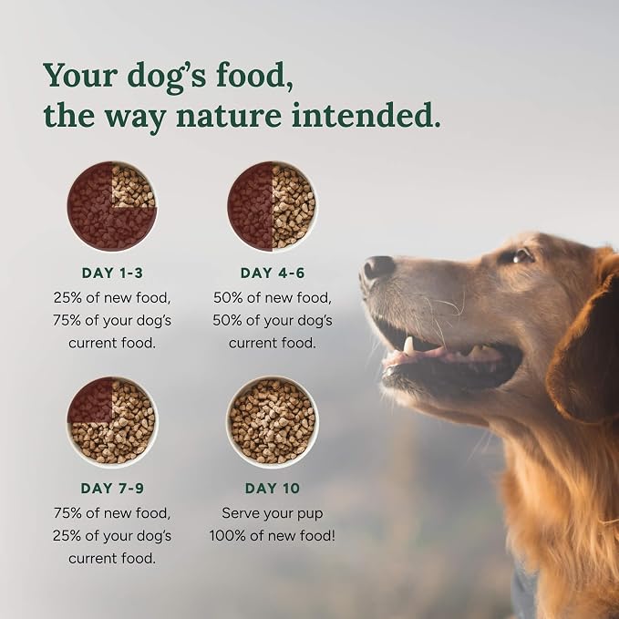 360 Pet Nutrition Freeze Dried Complete Multi Protein Meal for Adult Dogs, High Protein, Omega 3's, No Fillers, Made in The USA + Bison Liver Treat