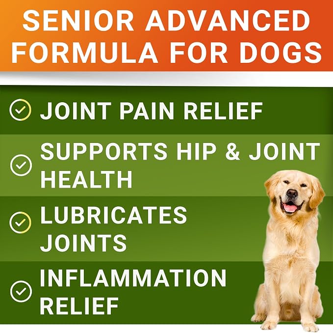 Senior Advanced Glucosamine Chondroitin Joint Supplement for Dogs - Hip & Joint Pain Relief Pills - Large & Small Breed - Hip Joint Chews Canine Joint Health - Dogs&Horses - Bacon Flavor-120Ct