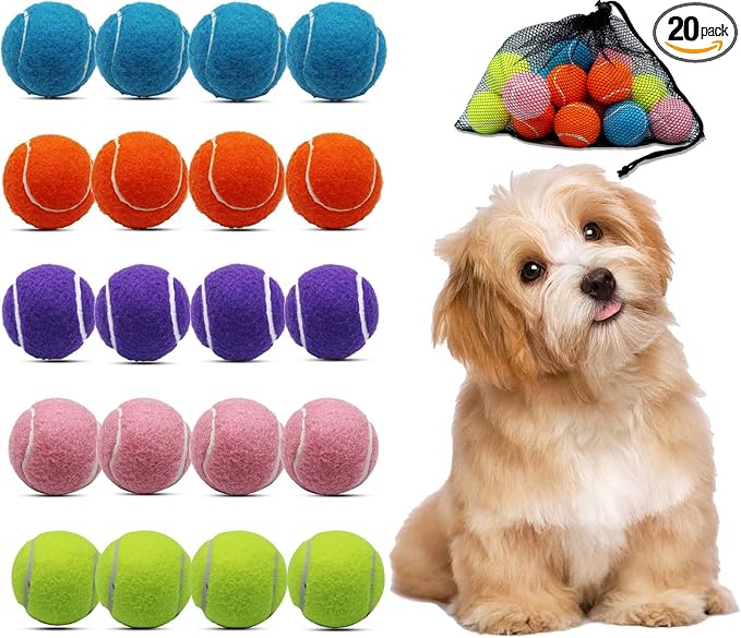 Magicorange Small Tennis Balls, 20 Pack 2 inch Tennis Balls for Dogs, Colorful Easy Catching Pet Dog Playing Ball with Mesh Bag for Easy Transport(Multicolor,20 Pack)
