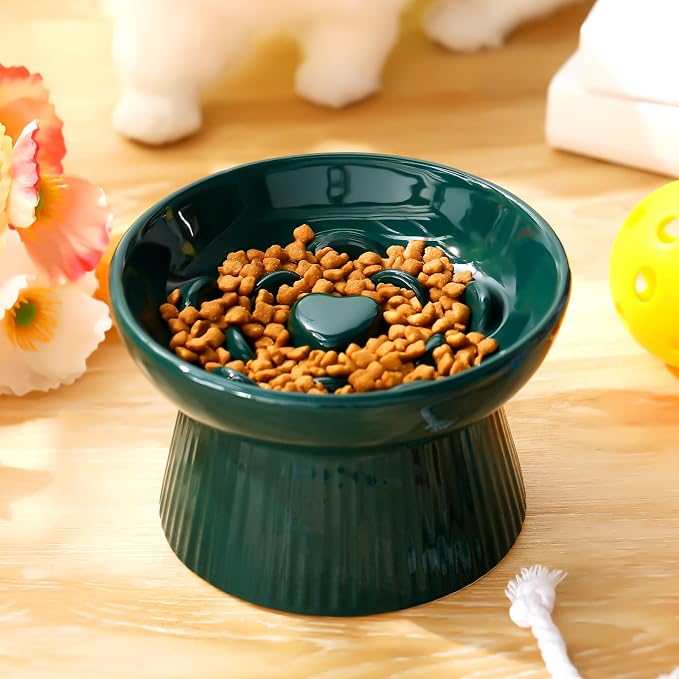 Tioncy 1 Pcs Raised Cat Slow Feeder Bowl Ceramic Elevated Cat Dog Food Bowl No Spill High Edge for Dry Wet Food and Water Easy to Clean, Dishwasher Safe (Dark Green)
