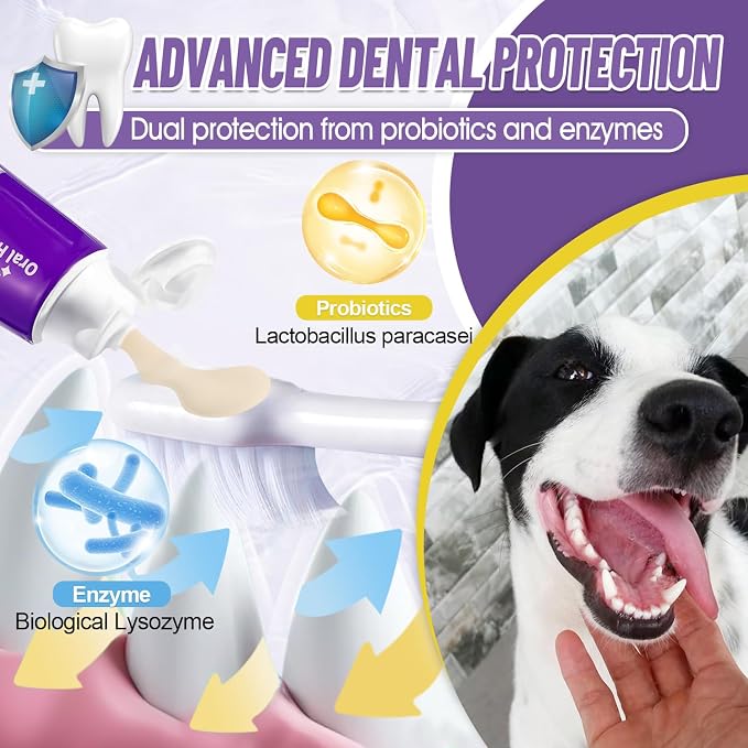 Cat Toothbrush for Kitten Teeth Cleaning + Natural Coconut Oil Cat & Dog Toothpaste