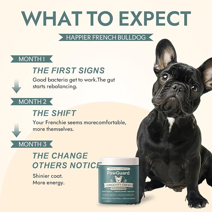 PawGuard French Bulldog Longevity Chews, Breed-Specific Soft Chews with Probiotics, Digestive Enzymes, Glucosamine, Chondroitin, Pork Flavor, Gut Skin Coat Immune Joint Support, 60 Count(1pc)