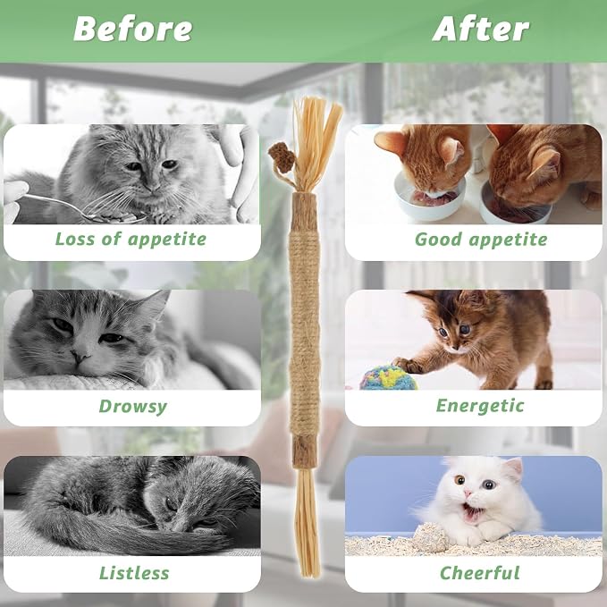 20Pcs Silvervine Sticks for Cats, Natural Cat Chew Toys, Nylatails Silvervine Dental Stick for Dental Care, Edible Matatabi Cat Chew Sticks for Teeth Cleaning, Kitty Toys for Indoor Cats