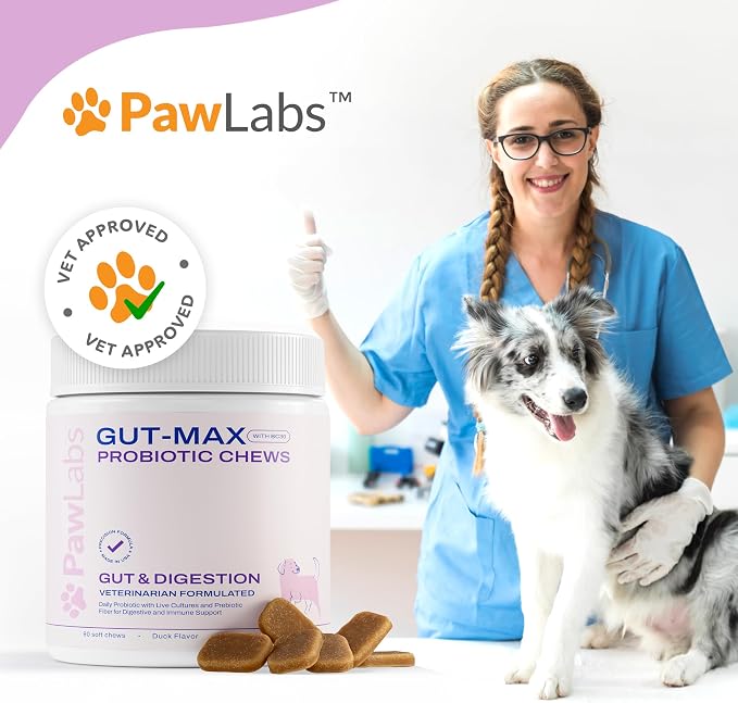PAWLABS Gut Max Probiotic Chews - Natural, Vet Formulated Digestive & Immune Support - Relieves Diarrhea, Constipation - with Patented BC30™ Bacillus Coagulans - Duck Flavor - 90 Soft Chews