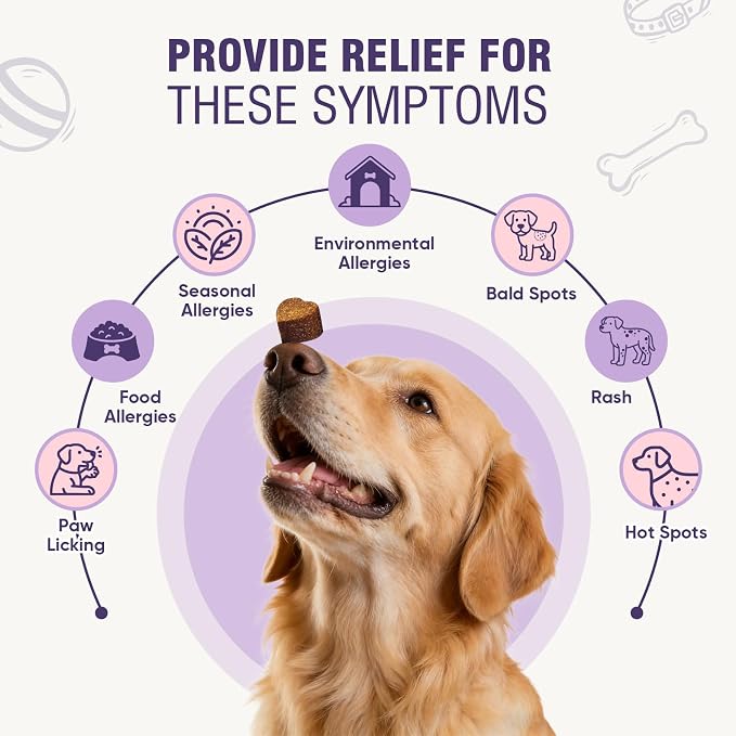 Dog Allergy Chews 200ct - Dog Allergy and Itching Skin Relief Anti Itch Aller Immune Bites for Dogs licking Paws Treatment Relief Itchy Chew Probiotics Vitamins for Skin and Coat Allergies - Chicken