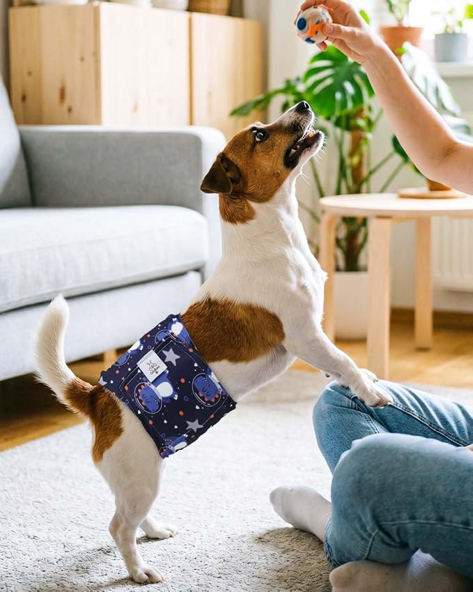 CuteBone Dog Diapers Male 4 Pack Puppy Wraps Reusable Doggie Belly Bands for Male Dogs Small Medium Large