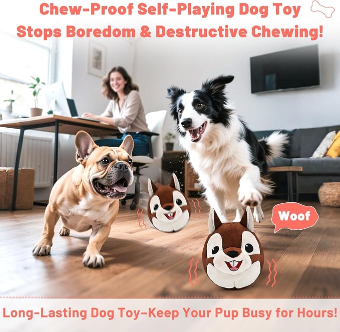 Bundle Interactive Dog Toys to Keep Them Busy