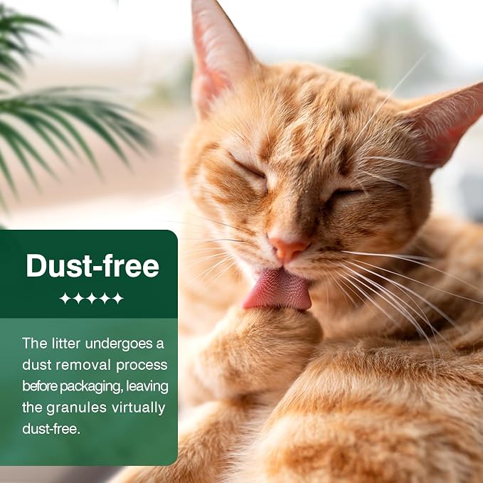 Cat Litter Pellets 9 lbs, Generic Litter Pellets Refills Exclusively for Dual-Layer Litter Box Systems, Dehydrating, Zeolite, Long-Lasting Odor Control Non-climping, Not Low-Tracking