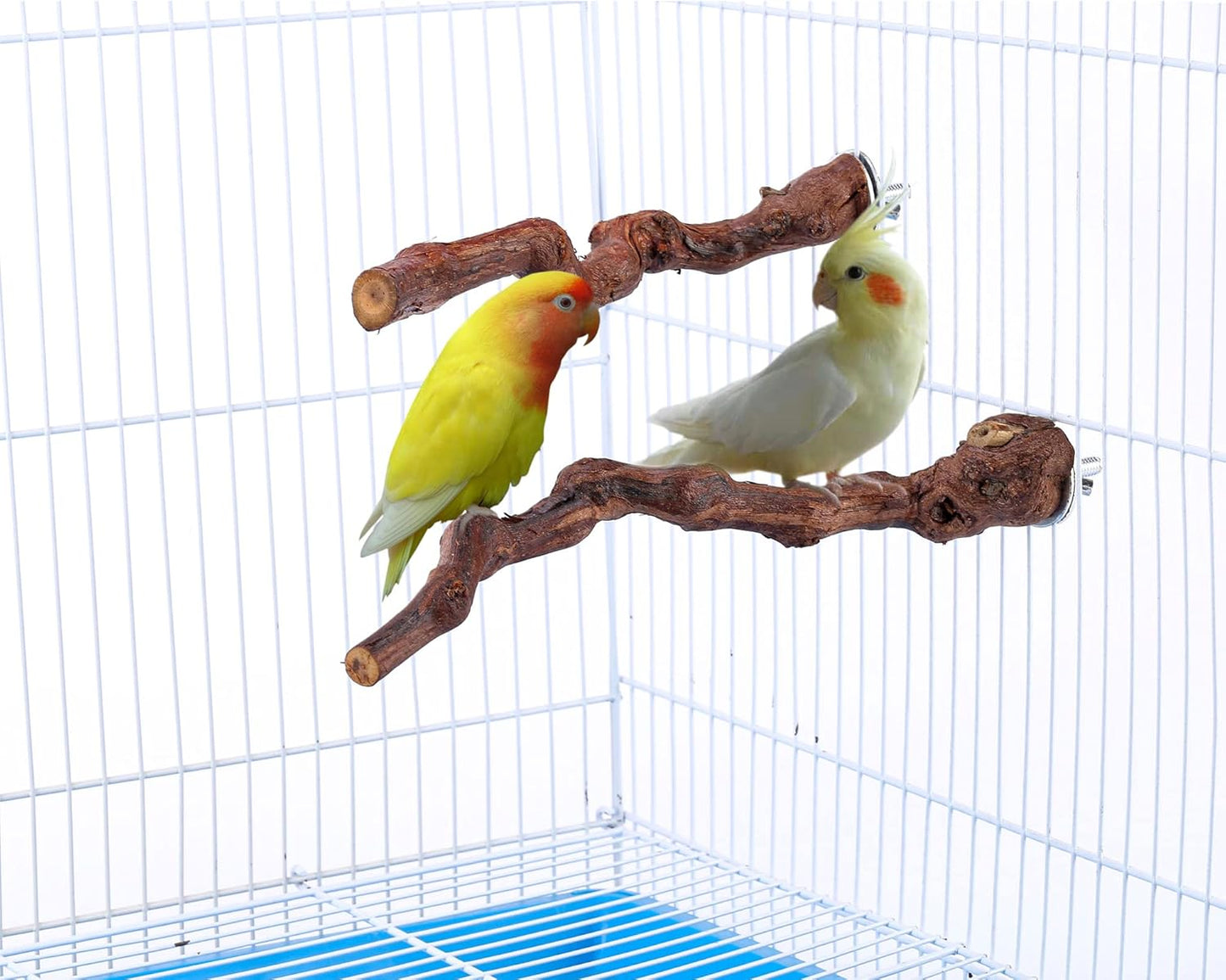 2 pcs 9.8 inch Bird Perches Stand Natural Wood Bird Perches, Birdcage Wood Stand Tree Perches for Birds Cockatiels Parrots Conures Macaws Finches(2PCS 9.8" Length)