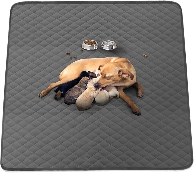 Washable Reusable Dog Pee Pads, 48"x65" Absorbent & Waterproof Puppy Training Pad for Crate, Playpen & Carpet, Large Potty Pads for Dogs, Cats & Small Pets