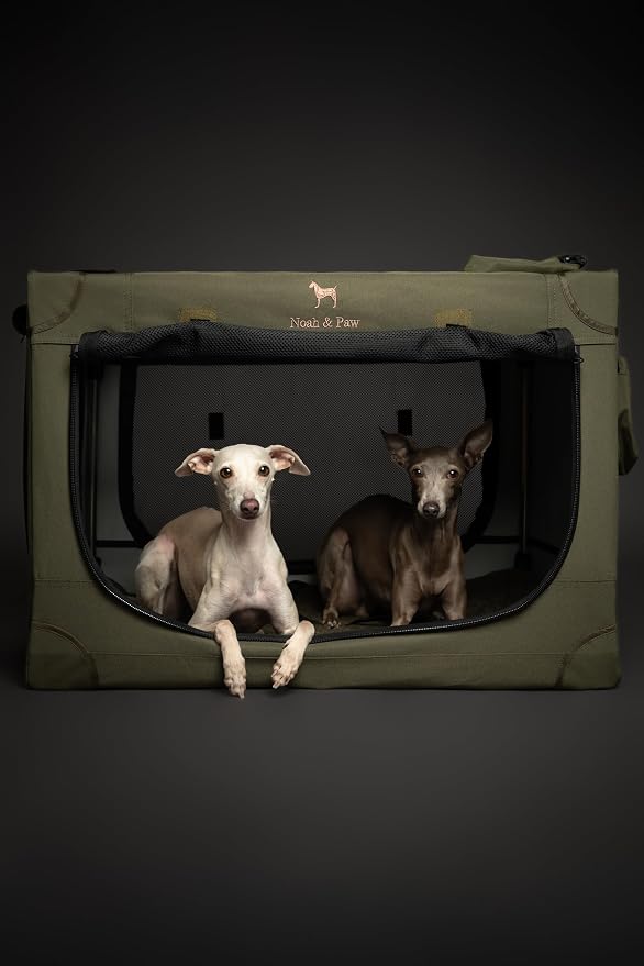 Noah & Paw Collapsible Dog Crate 30 Inches, Large Dog Crate for Large Medium Breeds, Travel Kennel for Car, Including Pet Mat for Pet Cage, 2 Storage Pockets, Handbag, 10mm Locking Zipper 30*21*21