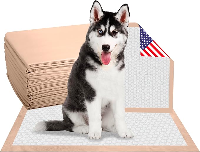Ultra Absorbent, Leak-Proof Dog and Puppy Pee Pads with 6-Layer Design and Quick-Dry Surface for Potty Training, Odor Blocking, Extra Large XXL Size, 30 x 36 Inch - Pack of 25, USA Made