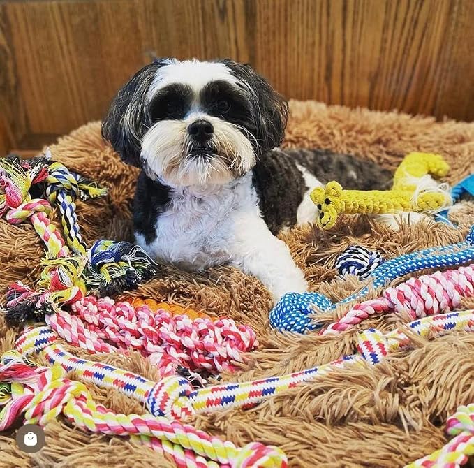 Pacific Pups Puppy Teething Toys -11 Pack Puppy Chew Toys for Teething - Multipack Chew Toys for Puppies 0-6 Months