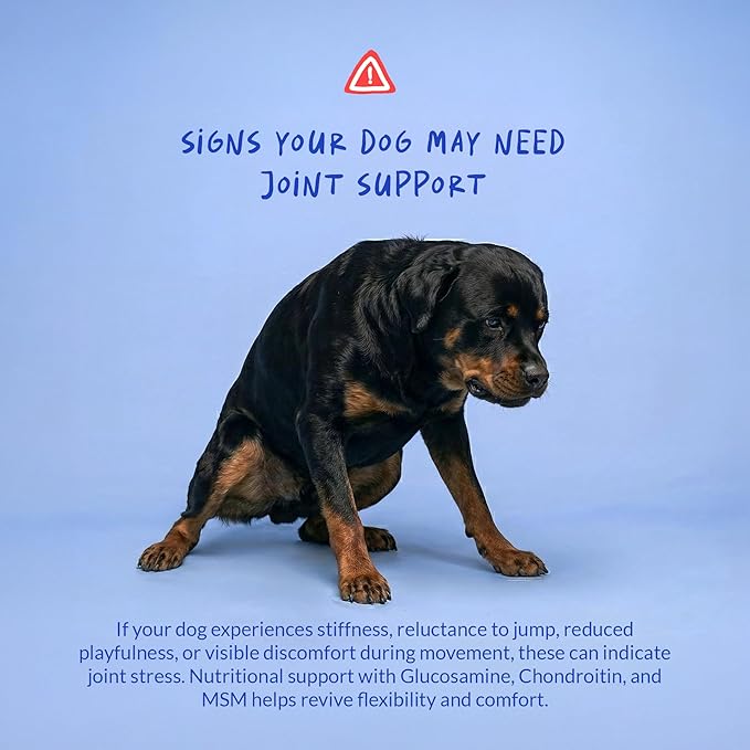 Hip & Joint for Dogs 120 Tablets - Glucosamine, MSM & Chondroitin | Glucosamine, Chondroitin & MSM formula. Supports hip & joint health, eases inflammation & acts as antioxidant.