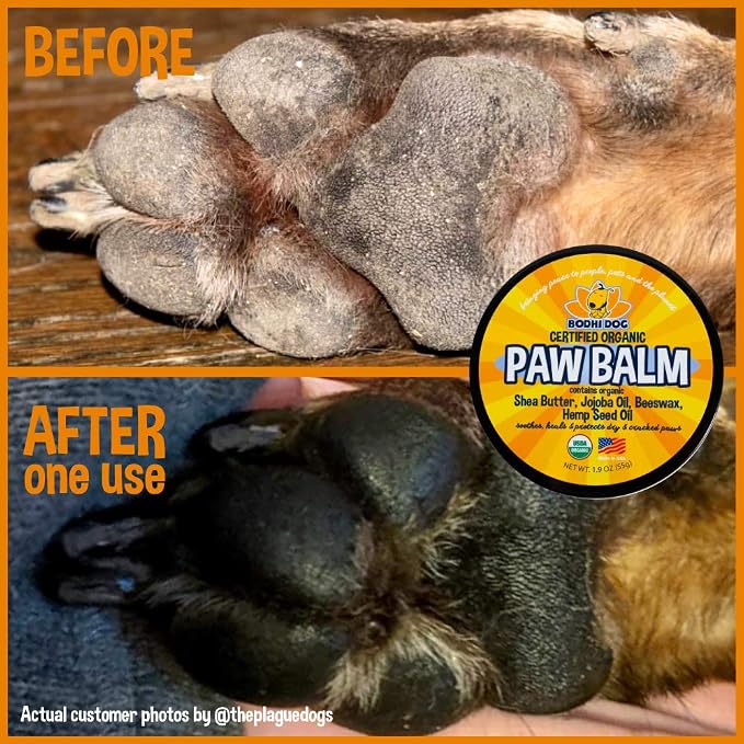 Bodhi Dog Paw Balm 2oz + Nose Balm 2oz Bundle